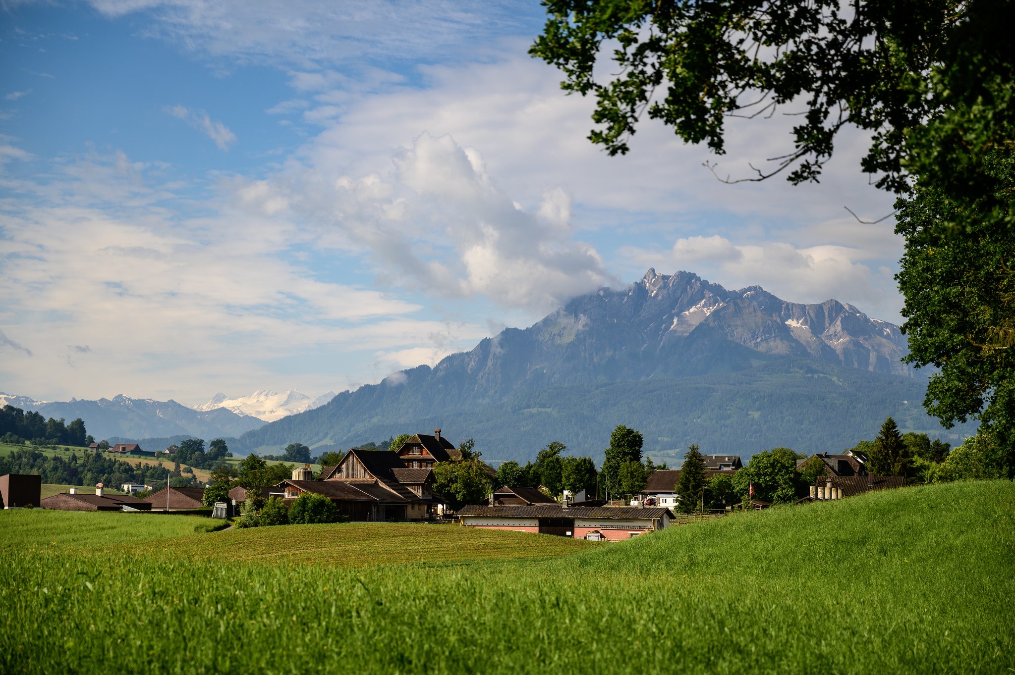 Naherholungsgebiete eignen sich ideal für gemütliche Spaziergänge.